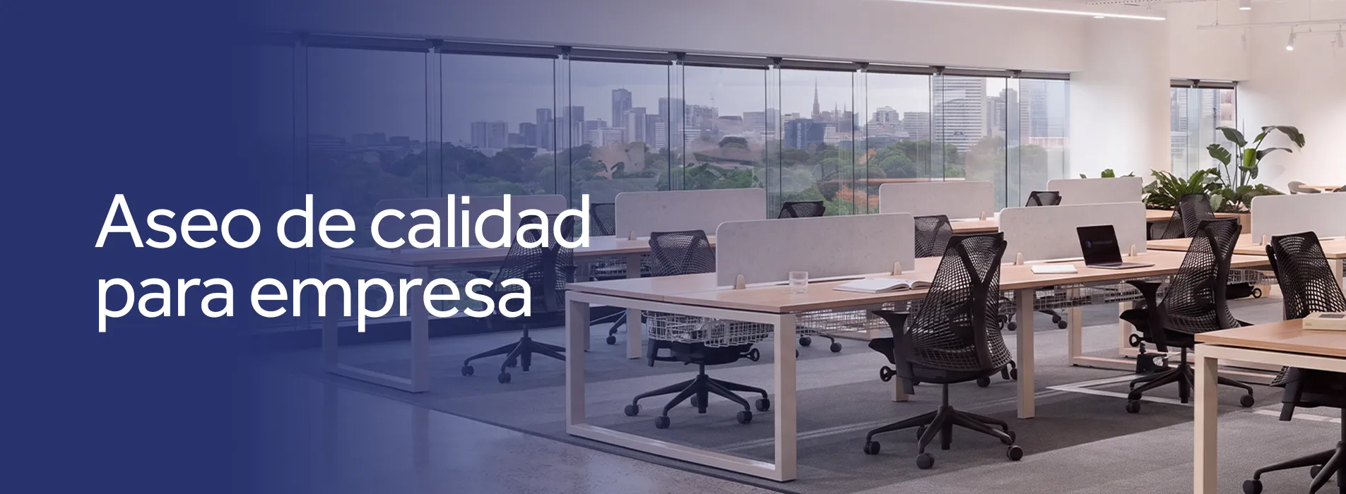 Aseo de calidad para empresas